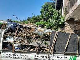 Best Commercial Junk Removal  in Babson Park, FL